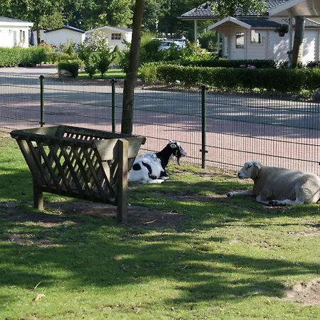 Holiday Droompark Molengroet.14 * Sint Pancras